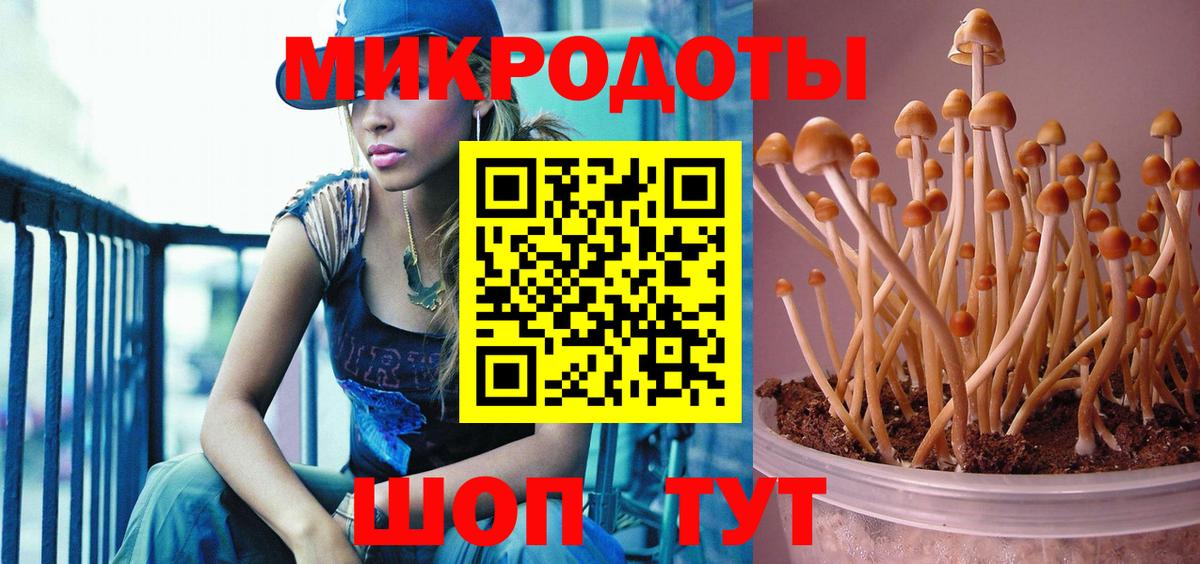 Еманжелинск  Галлюциногенные грибы мухоморы  Вход с VPN 